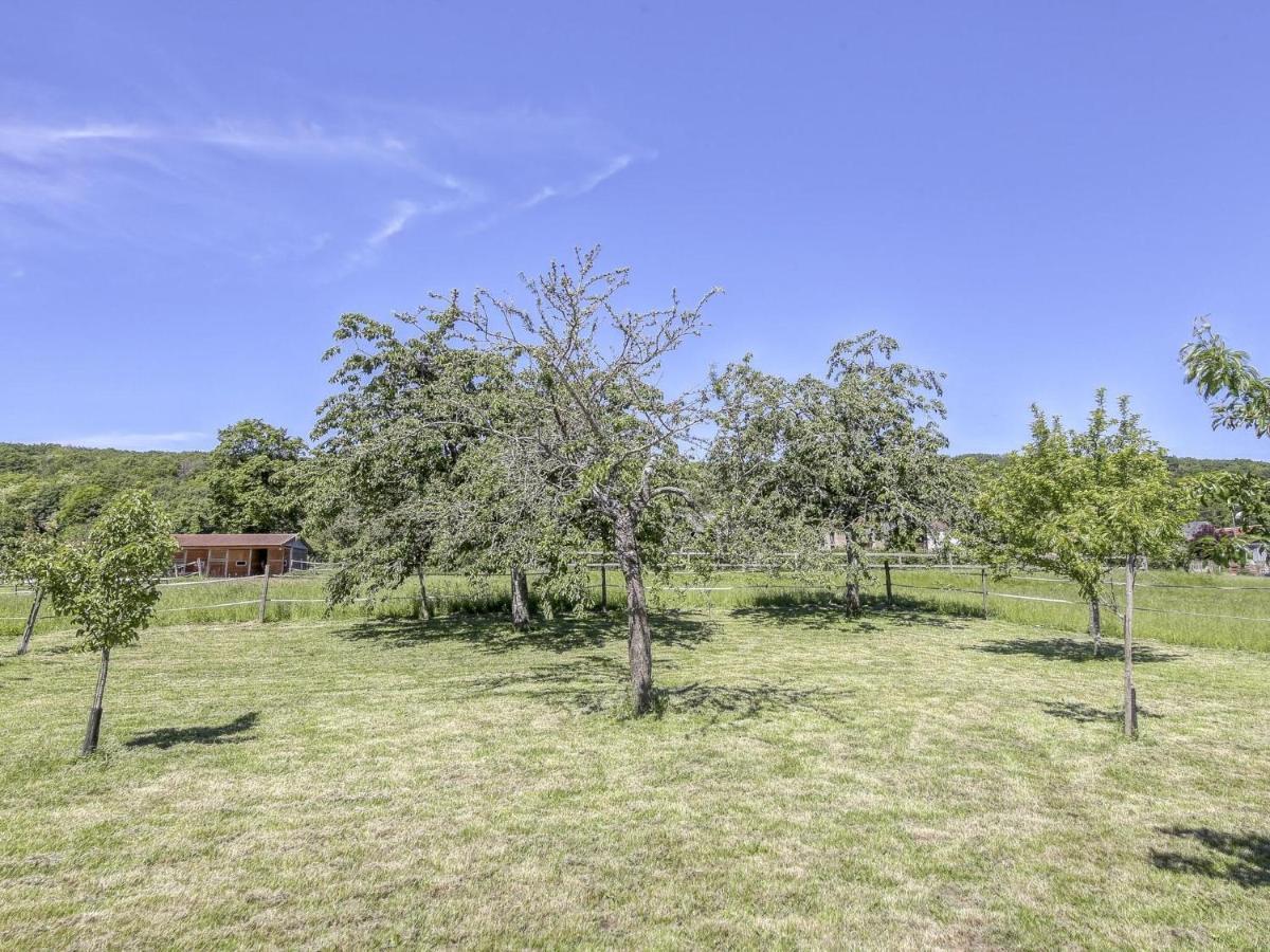 Burgundian Farmhouse In Talon With Fireplace エクステリア 写真