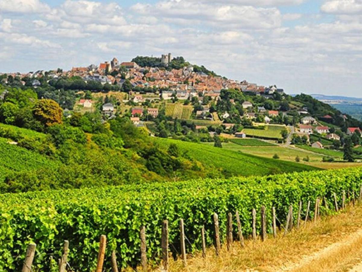 Burgundian Farmhouse In Talon With Fireplace エクステリア 写真